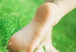 Dermatologija kojoms
